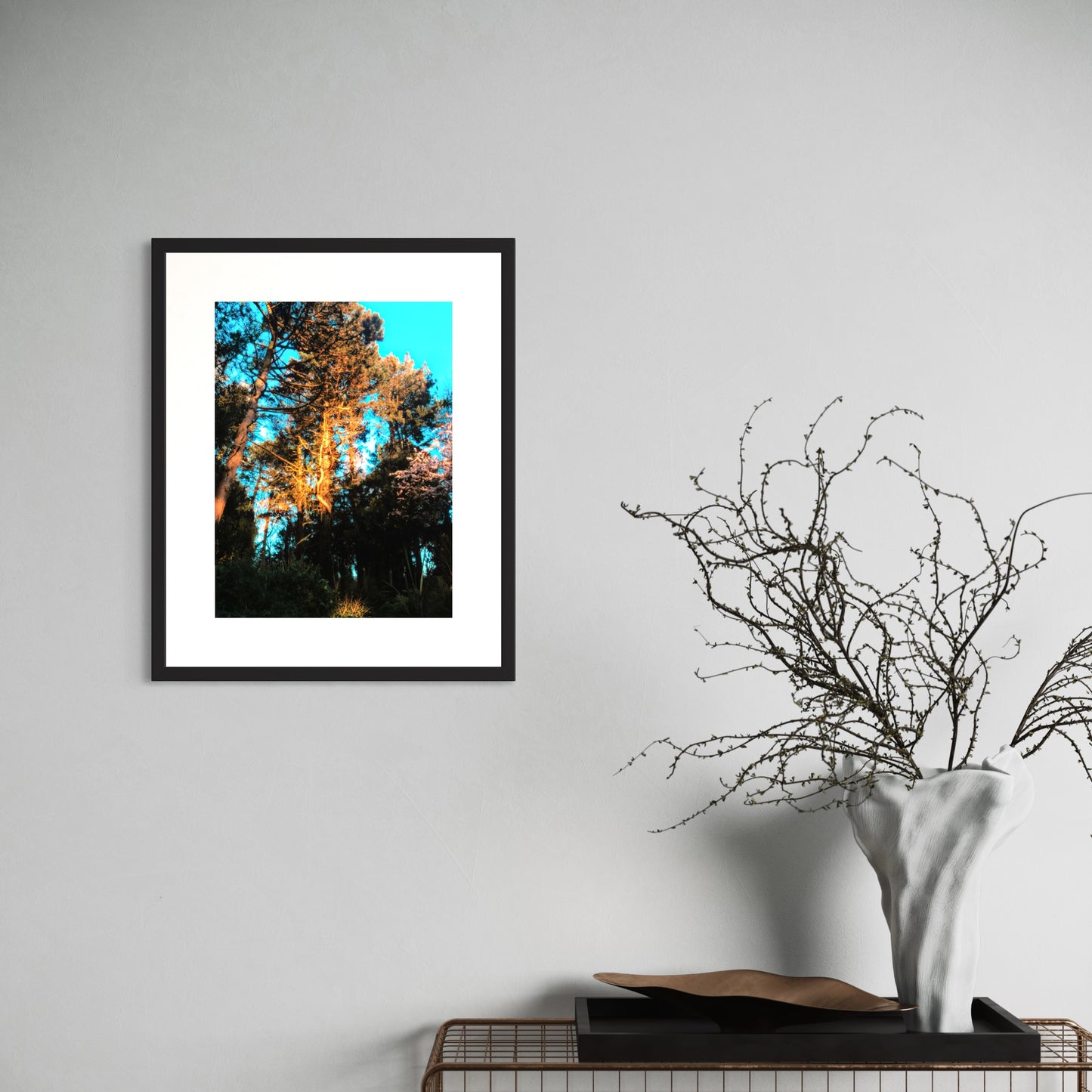 The sun feeds the trees